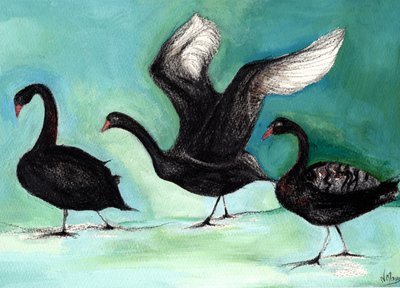 Ein Ballett von schwarzen Schwänen, 2013 von Nancy Moniz Charalambous